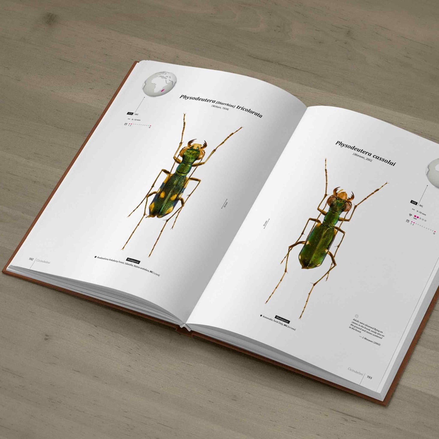 Tiger Beetles of Africa