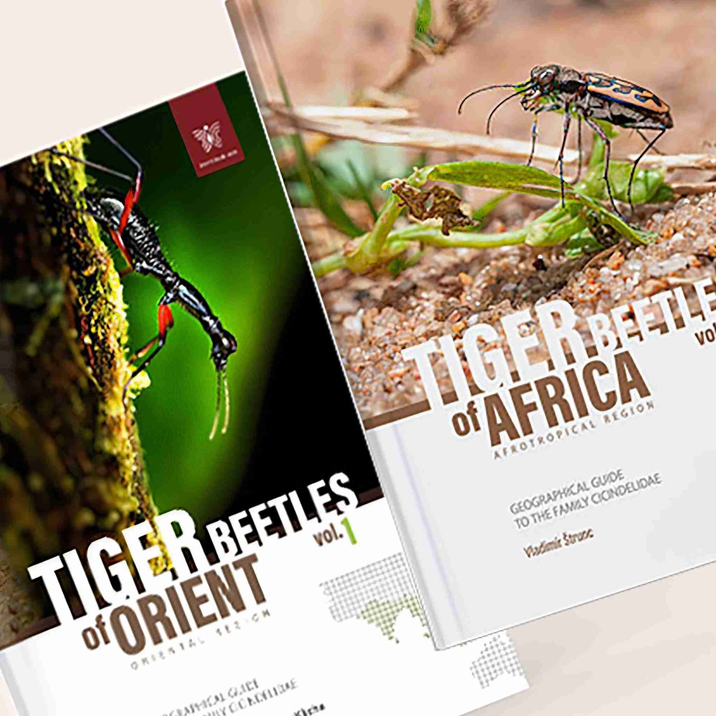 The Tiger Beetles Bundle