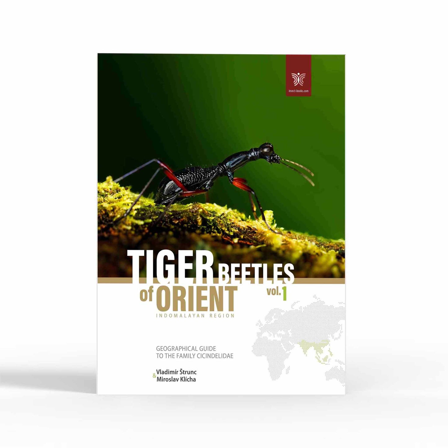 Tiger Beetles of Orient